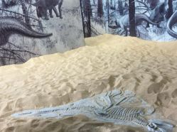 -恐龙探索乐园(磁器口店)