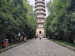-灵谷景区