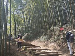 -西湖风景区十里琅珰-五云山