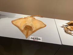 -旅顺博物馆