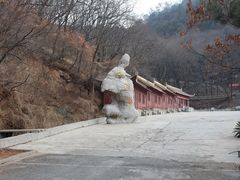 -抱犊崮国家森林公园