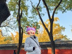 -北京国子监胡同