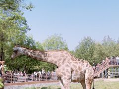 -济南野生动物世界