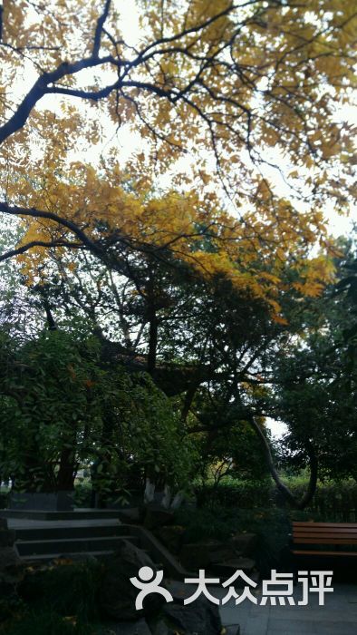 青年公园-图片-杭州周边游-大众点评网