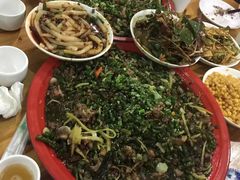 -东吴霸王兔(松青路店)