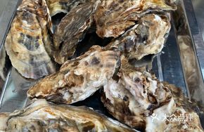 Tender Fresh Oyster