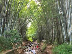 -田心森林公园