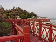 -养马岛旅游度假区