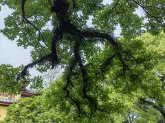 -桂林独秀峰王城景区