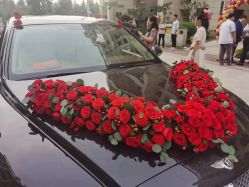 -蚂蚁婚车