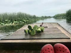 -白洋淀景区