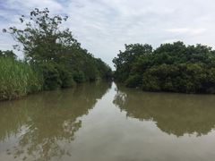 -大湾区中央湿地公园