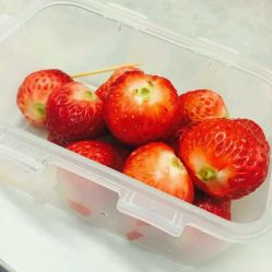 -木北造型