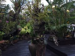 Natural&nbsp;Restaurant-自然餐厅(Phuket)