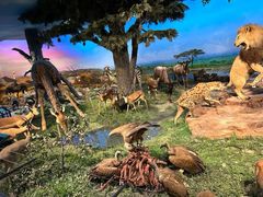 -国家自然博物馆