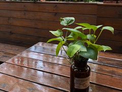-Boxing Cat Brewery拳击猫精酿啤酒馆(永福店)
