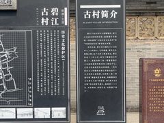-碧江金楼