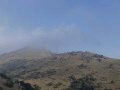 -大姆山草场