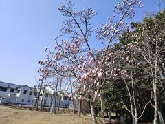 -品鲜村农家菜·阳澄湖大闸蟹(总店)