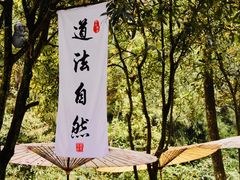 -青城山
