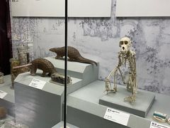 -杭州胡庆余堂第二中医门诊部
