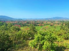 -海南霸王岭国家森林公园