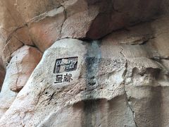 游乐设施-上海迪士尼度假区