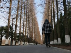 -黄海国家森林公园