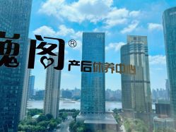 -巍阁高端月子会所