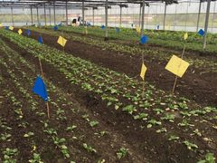 多利农庄有机体验馆-上海多利农业发展有限公司