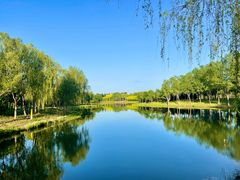 -东郊湿地公园