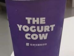 -一只酸奶牛(百联南岸上海城店)