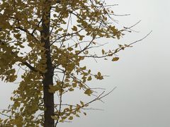 -汉景帝阳陵博物院