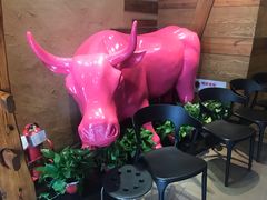 -小放牛炒菜馆(军校店)