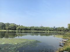 -北坞公园