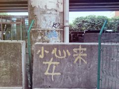 -小洲村