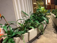-蘸小院铁锅炖·蘸酱菜·东北菜(怀远门店)