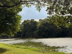 -艾溪湖湿地公园