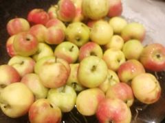 android_upload_pic-黔蘑菇四季餐厅(观山湖店)