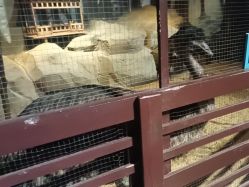 -酷嗒动物文化乐园(cutezoo西溪乐天城店)