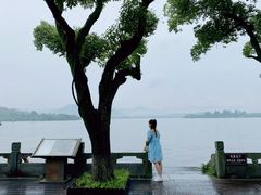 -杭州西湖柳莺里酒店·闻莺厅