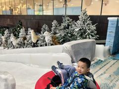 -世界之窗阿尔卑斯冰雪世界