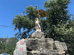 -大岭沟猕猴桃谷风景区