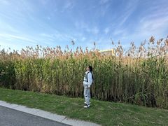 -上海佘山国家森林公园西佘山园