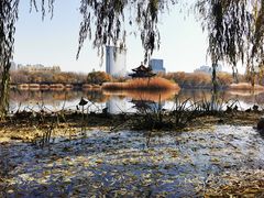 -青城公园