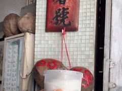 -洪馨椰子