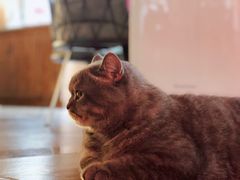 -B.O.M波姆烘焙(凤凰街店)