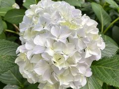 -常州古运河南大街文化旅游区-人民公园