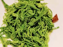 -庆和楼(北师大店)