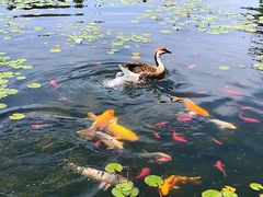 -白马涧龙池景区